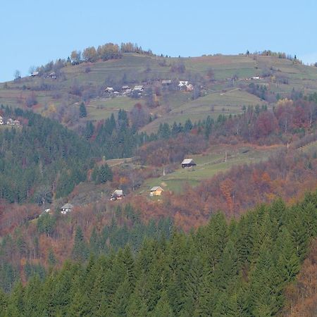 Kings Valley - Sunny Botesti Cîmpeni Dış mekan fotoğraf