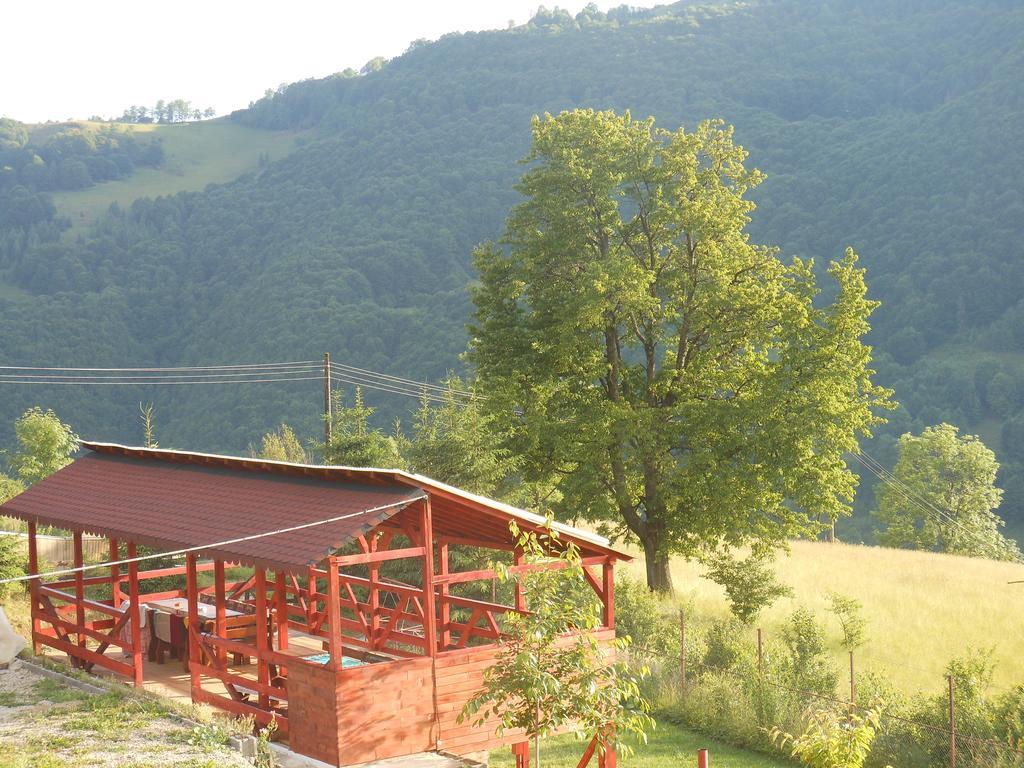 Kings Valley - Sunny Botesti Cîmpeni Dış mekan fotoğraf