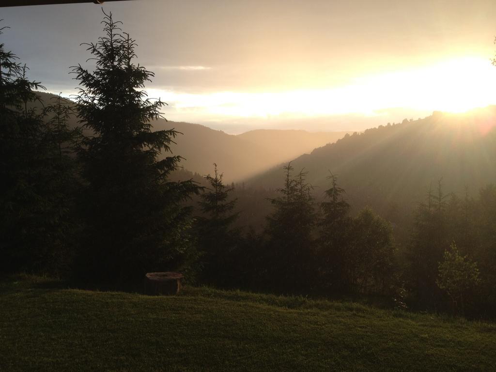 Kings Valley - Sunny Botesti Cîmpeni Dış mekan fotoğraf