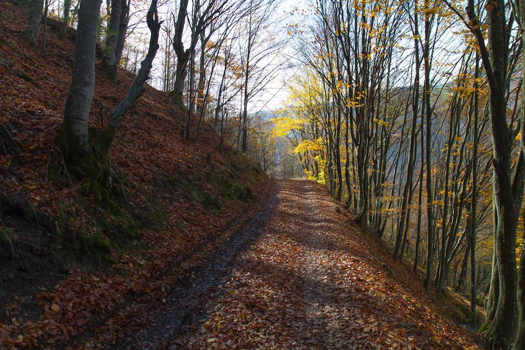 Kings Valley - Sunny Botesti Cîmpeni Dış mekan fotoğraf