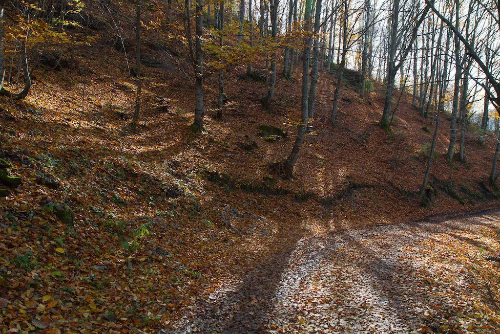 Kings Valley - Sunny Botesti Cîmpeni Dış mekan fotoğraf