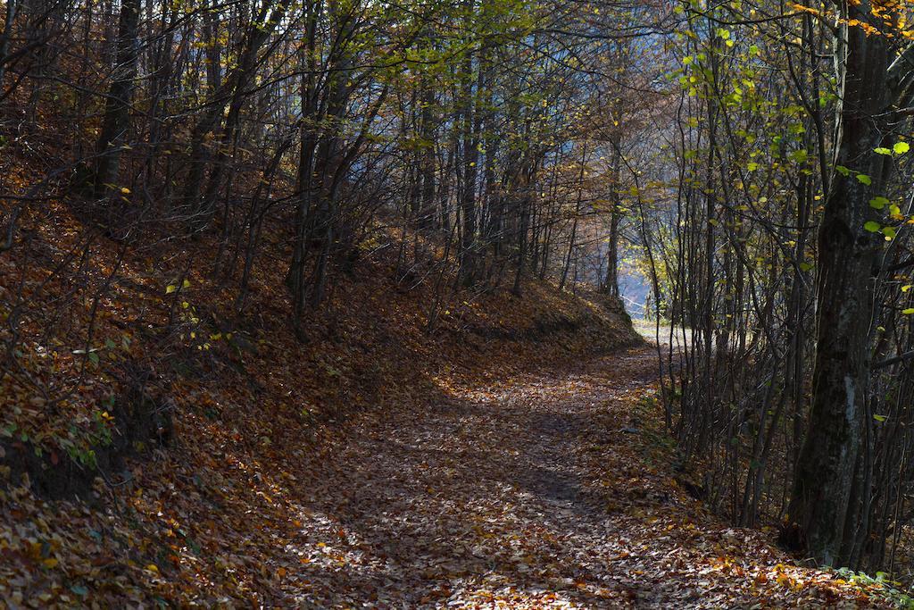 Kings Valley - Sunny Botesti Cîmpeni Dış mekan fotoğraf