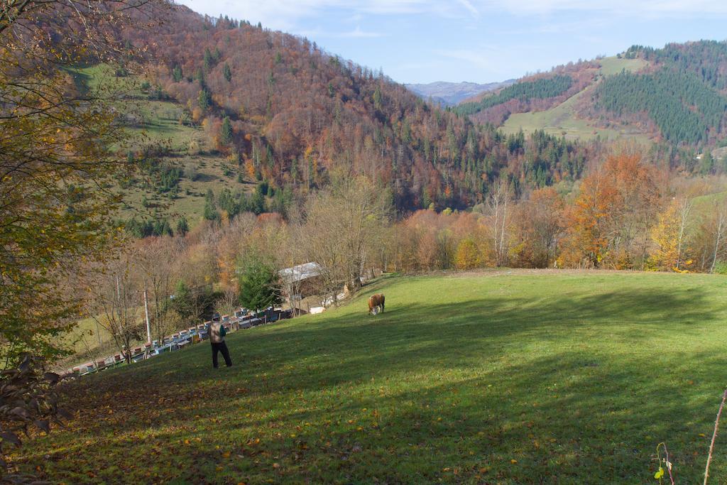 Kings Valley - Sunny Botesti Cîmpeni Dış mekan fotoğraf
