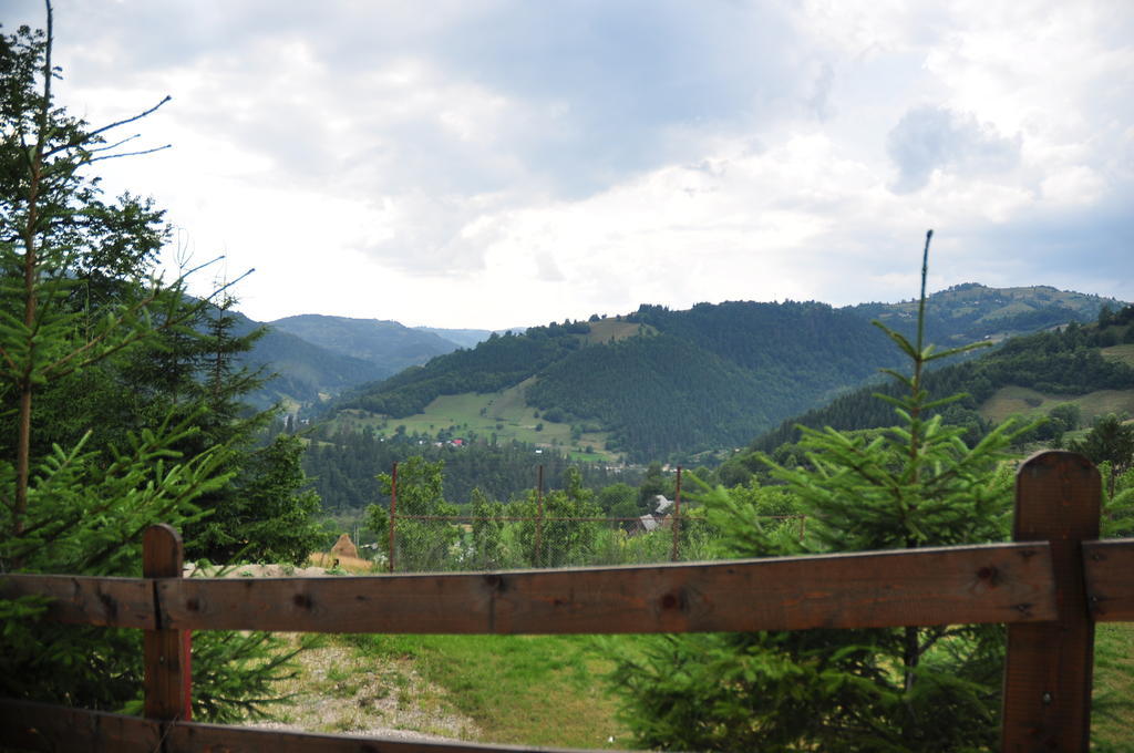 Kings Valley - Sunny Botesti Cîmpeni Dış mekan fotoğraf