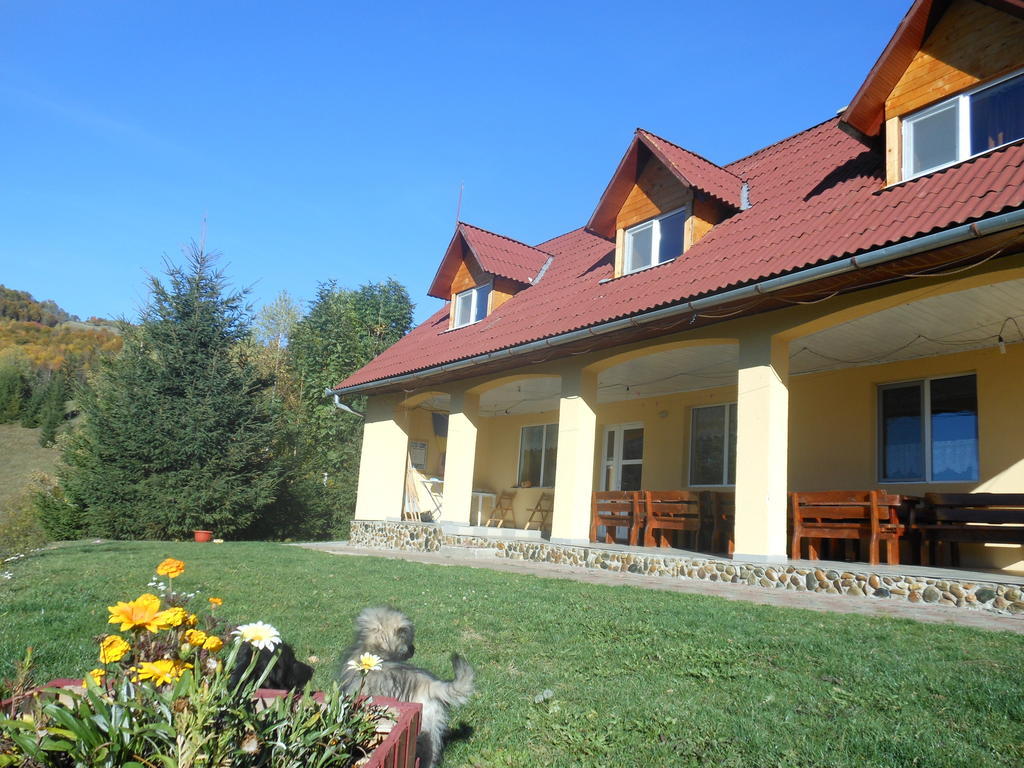 Kings Valley - Sunny Botesti Cîmpeni Dış mekan fotoğraf