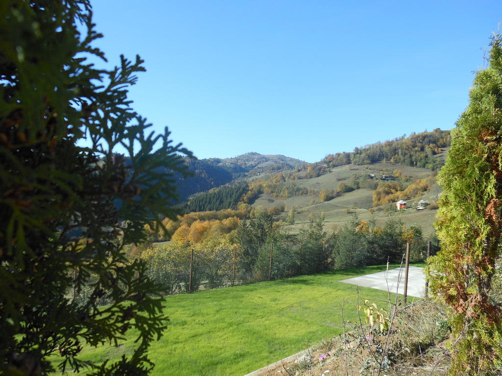 Kings Valley - Sunny Botesti Cîmpeni Dış mekan fotoğraf