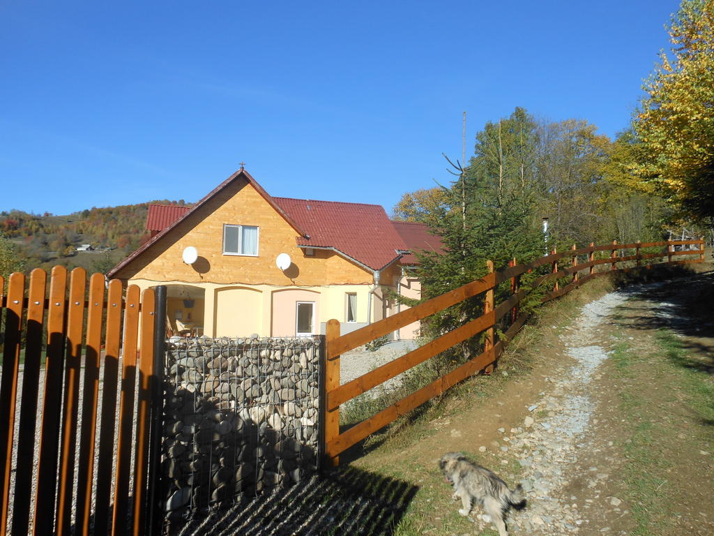 Kings Valley - Sunny Botesti Cîmpeni Dış mekan fotoğraf