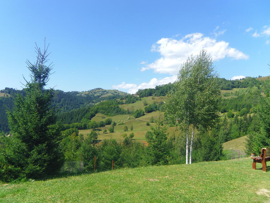 Kings Valley - Sunny Botesti Cîmpeni Dış mekan fotoğraf