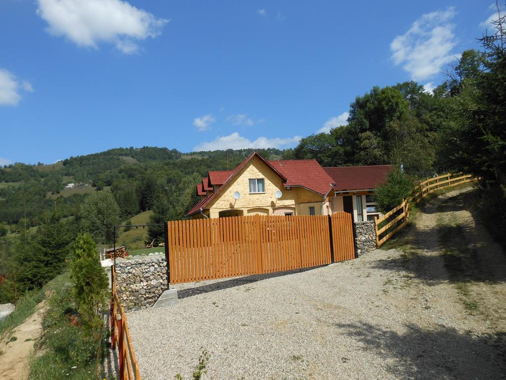 Kings Valley - Sunny Botesti Cîmpeni Dış mekan fotoğraf