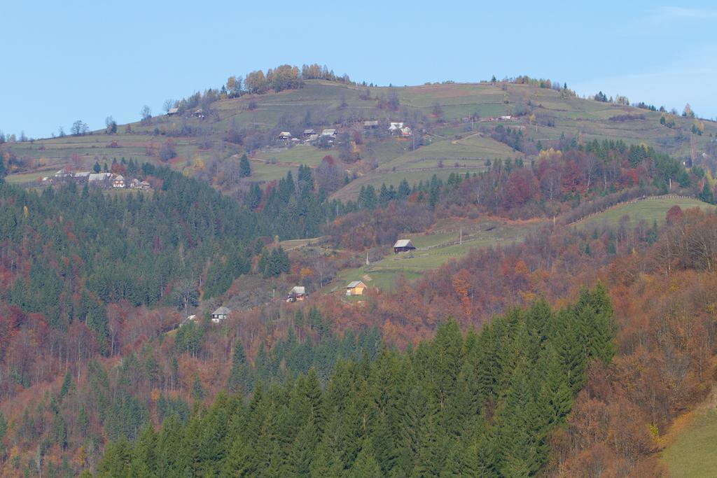 Kings Valley - Sunny Botesti Cîmpeni Dış mekan fotoğraf